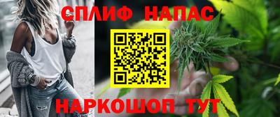 сатива Камышлов