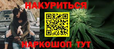 сатива Камышлов