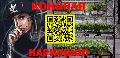 сатива Камышлов