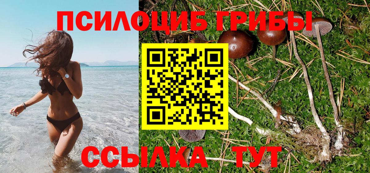Галлюциногенные грибы Psilocybine cubensis  Вход с VPN  Заинск 